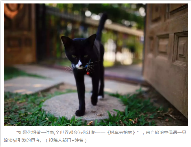 万豪娱乐·(中国游)有限公司官网